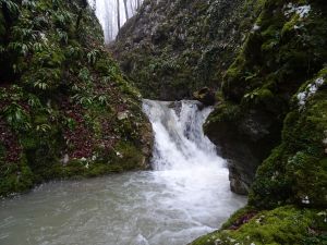 Žumberačka gora - razne fotografije